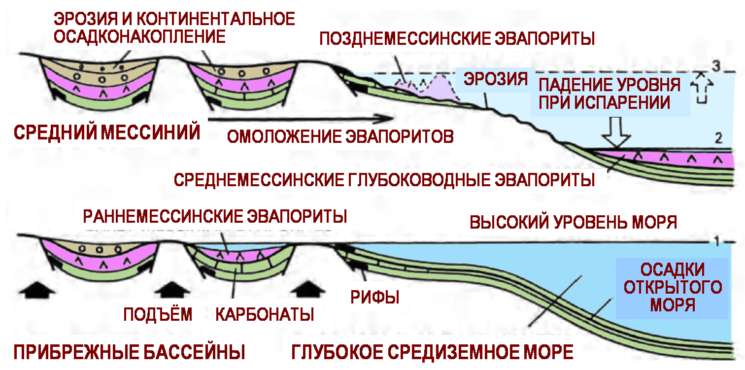 Эвапоритовые события средиземноморского мессиния