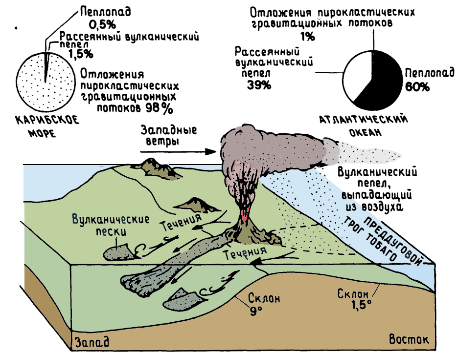 пелагические обстановки